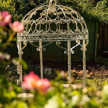 Lincoln Cottages Bnb & Self-Catering Pietermaritzburg Esterno foto